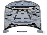 Hood (Daytona Style)